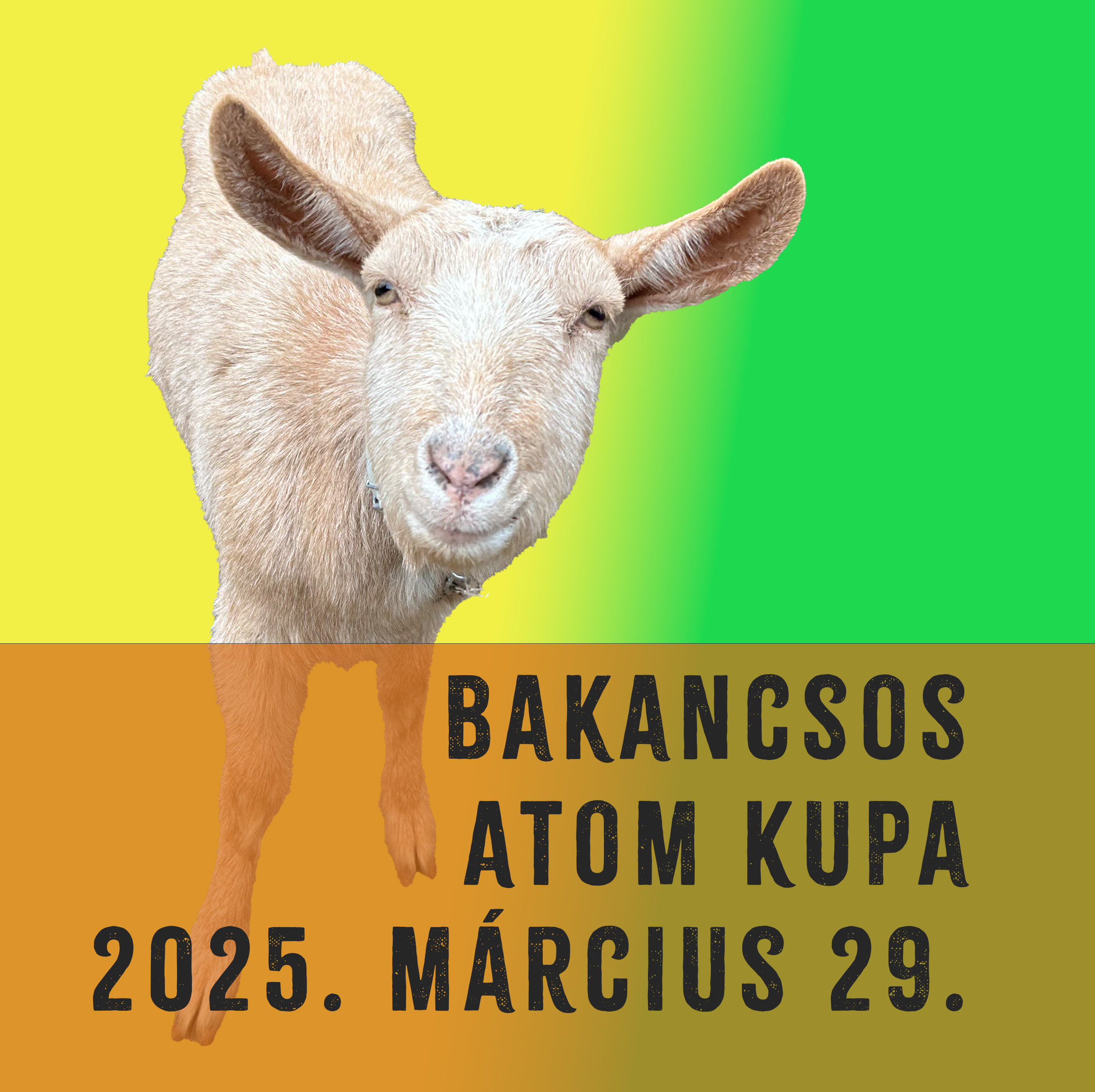 Bakancsos Atom Kupa